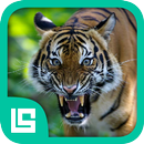 Fauna Provinsi Indonesia aplikacja