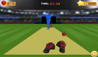 TapCatch Cricket 2 captura de pantalla 1