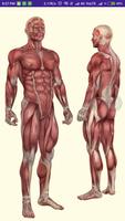 Anatomy Directory gönderen