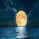 Night Sky Wallpapers APK