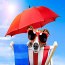 Dog Wallpapers APK