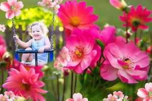 Flower Photo Frames الملصق