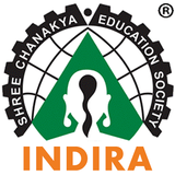 Indira National School icône