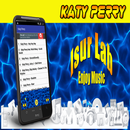 Katy Perry - Hey Hey Hey APK