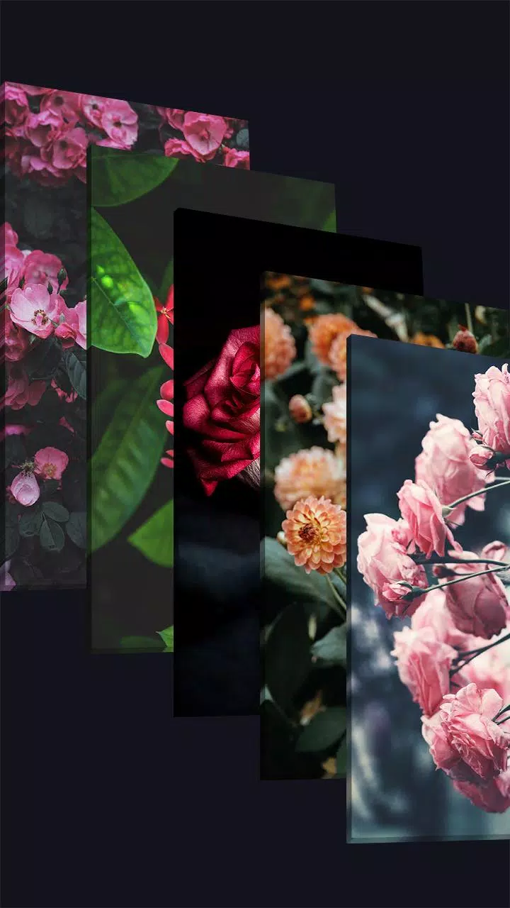 Flowers Wallpaper HD - Nature love backgrounds APK voor Android Download