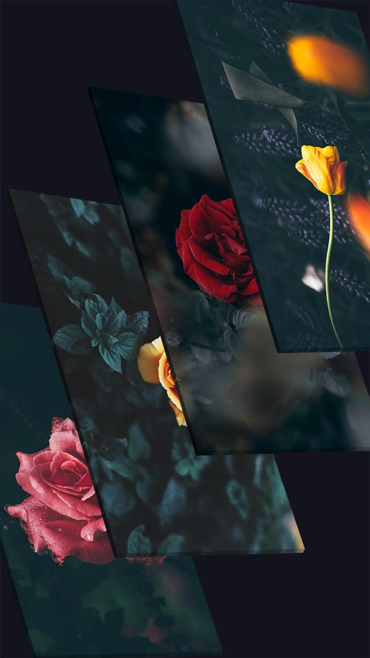 Flowers Wallpaper HD - Nature love backgrounds for Android - APK Download