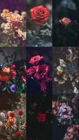 Flowers Wallpaper HD - Nature love backgrounds capture d'écran 3
