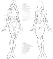 Tutorial drawing hot body постер