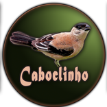 Caboclinho Do Re Mi do Canto