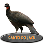 O CANTO DO JACU icon