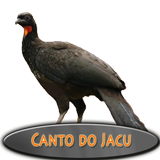 O CANTO DO JACU icône