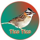 Tico Tico Canto do Cemitério 아이콘