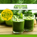 Fat Burning Juice (Lost Weight With Jucie )-APK