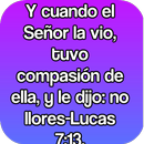 Citas Biblicas De Amistad APK