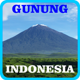 Gunung Indonesia ikon