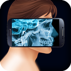 XRAY Head Scanner icône