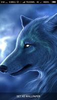 Wolf Wallpapers HD 스크린샷 3