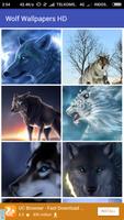 Wolf Wallpapers HD পোস্টার