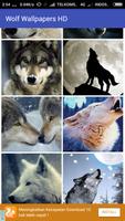 Wolf Wallpapers HD 스크린샷 2