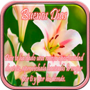 Flores con frases cristianas APK