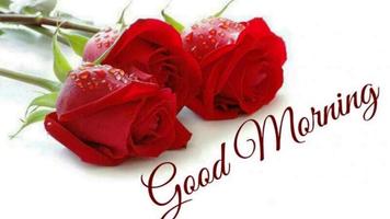 Good Morning Rose Images الملصق