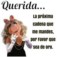 imagenes de indirectas اسکرین شاٹ 2