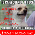 imagenes con frases muy locas