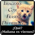 imagenes con frases divertidas