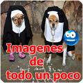 Imagenes de todo un poco