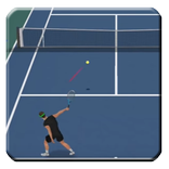 Guide for 3D Tennis