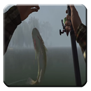 Guide for Real Fishing Ace Pro APK