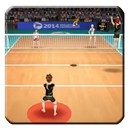 Guide for Volleyball Champions 3D APK