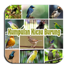 Kumpulan Kicau Burung Lomba Zeichen