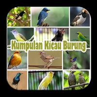 Kumpulan Kicau Burung Lomba Plakat