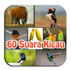 60 Suara Kicau Burung Campuran アイコン