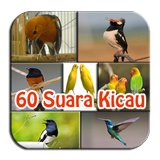 60 Suara Kicau Burung Campuran icône