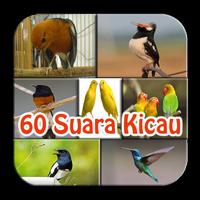60 Suara Kicau Burung Campuran Affiche