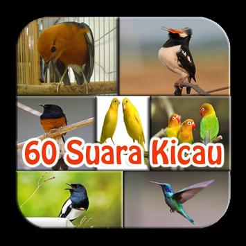 Download Mp3 Suara Kicauan Burung Campuran - Blog Tentang Burung