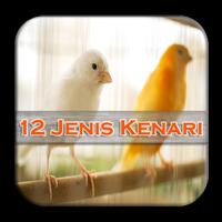 Master Kicau Kenari 12 Jenis bài đăng