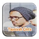 Tausiyah Cinta Ustadz Hanan Attaki Offline APK