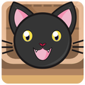 Kitty Jump Run
