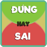 Dung hay sai - Đúng hay sai