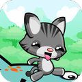Jumping Cat