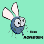 Adventure Flies