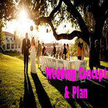 Wedding Concept and Plan