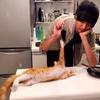 junskitchen junskitchen