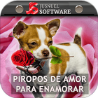 Piropos de Amor Para Enamorar アイコン