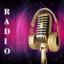 Radio Indonesia Online-APK