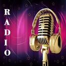 Radio Indonesia Online APK