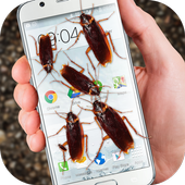 Bug in Phone funny joke icon Bug in Phone funny joke icon